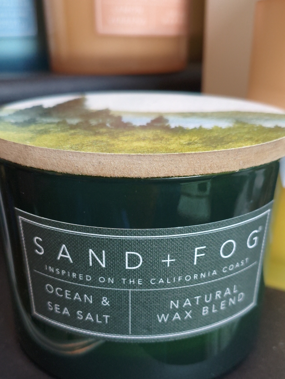 Sand + Fog Ocean & Sea Salt Candle